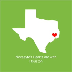 Novasyte-Texas1.png